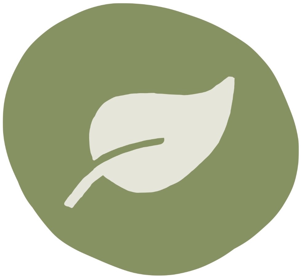 Icons turtleo design leaf