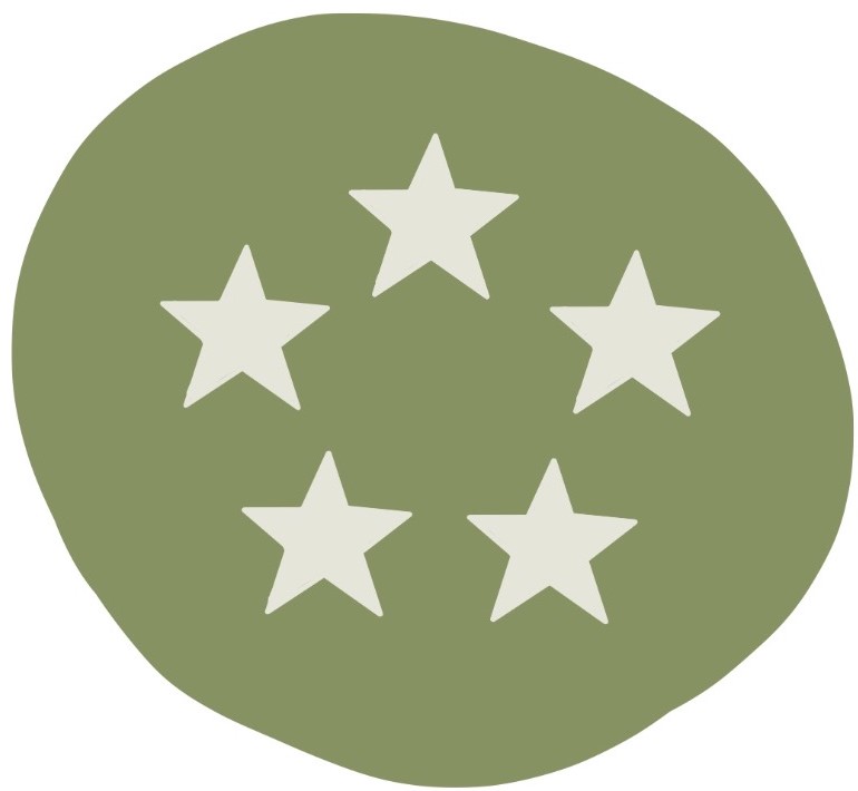 Icons turtleo design stars