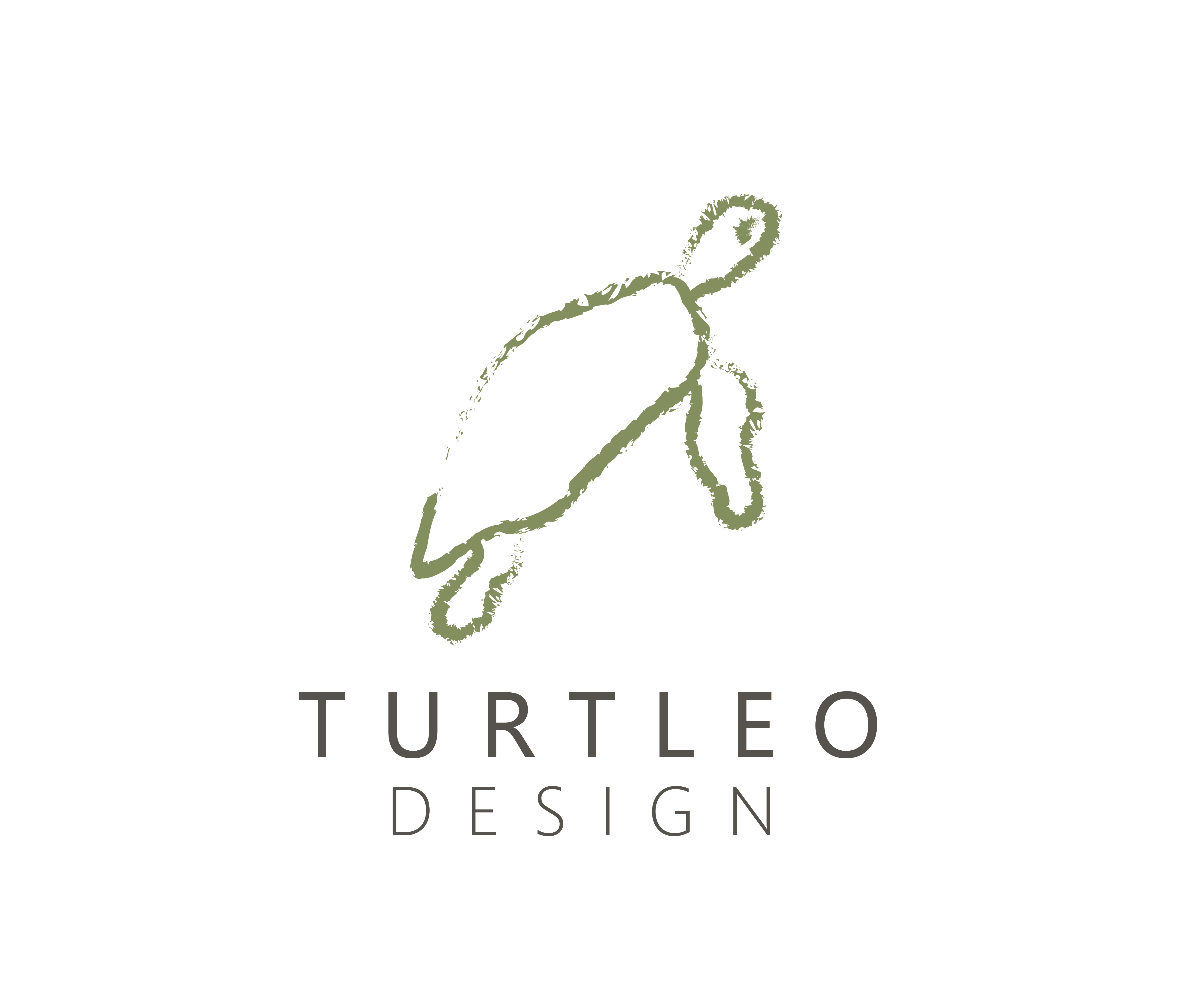 Logo turtleo design